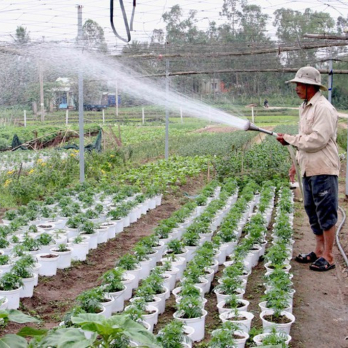 Đà Nẵng: Chuyển Đổi Số Mang Lại Nhiều Kết Quả Nổi Bật